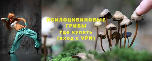 ешки Бабаево
