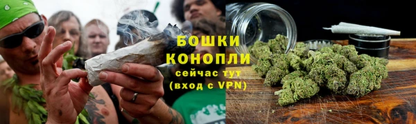 первитин Коряжма